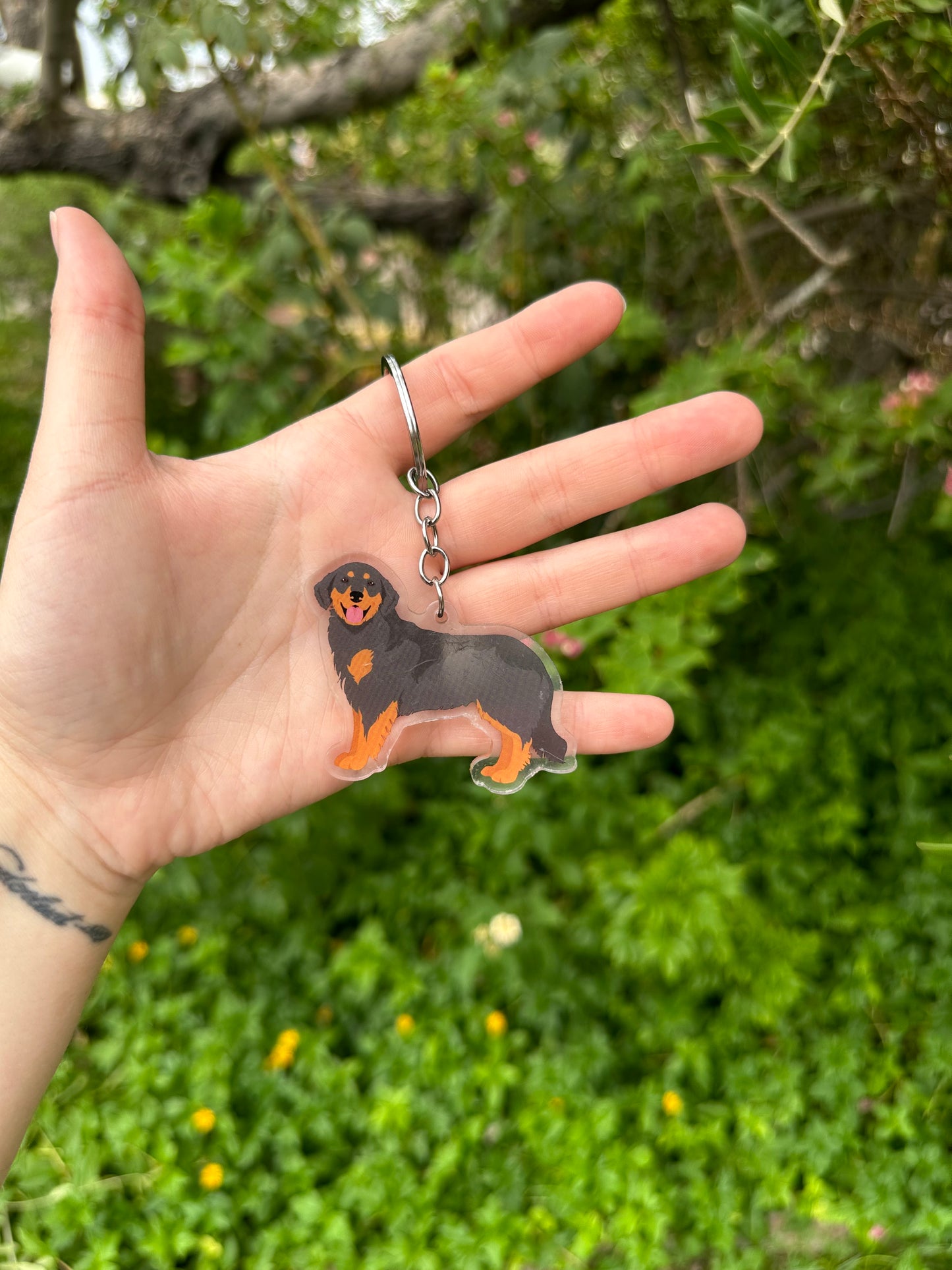 Hovawart Dog 2.5in Acrylic Keychain