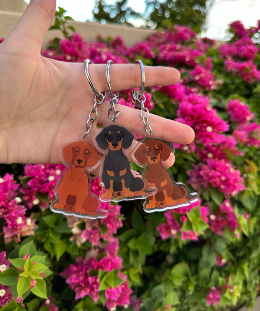 Dachshund Dog 2.5in Acrylic Keychain