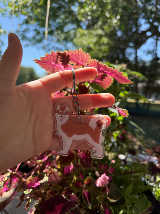 Alaskan Klee Kai Dog 2.5in Acrylic Keychain