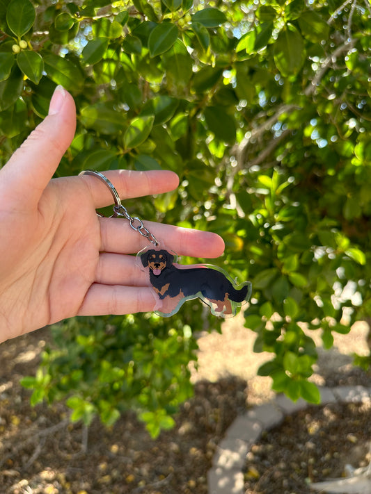 Small Greek Domestic Dog 2.5in Acrylic Keychain