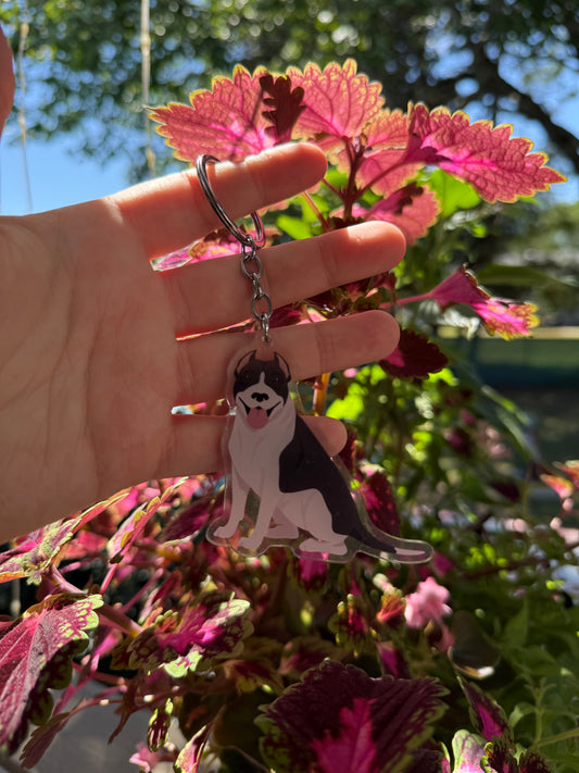 American Pit Bull Terrier Dog 2.5in Acrylic Keychain