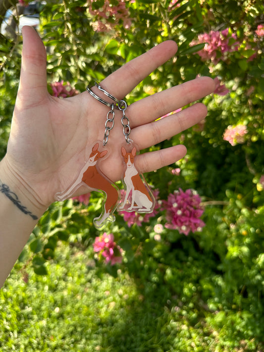 Ibizan Hound Dog 2.5in Acrylic Keychain