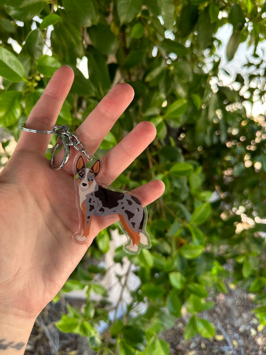 Australian Koolie Dog 2.5in Acrylic Keychain