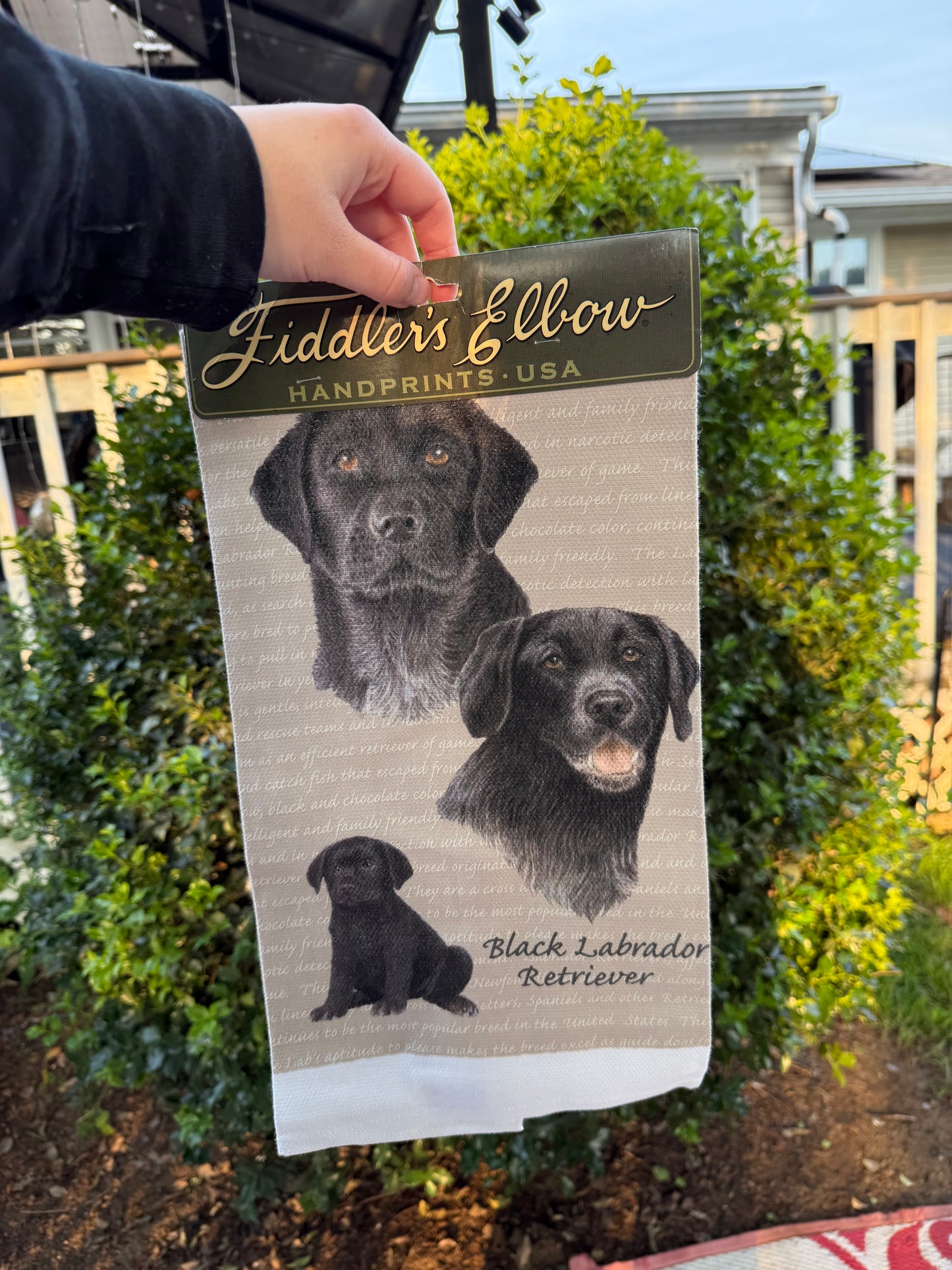 Labrador Retriever Dog Dish Towel