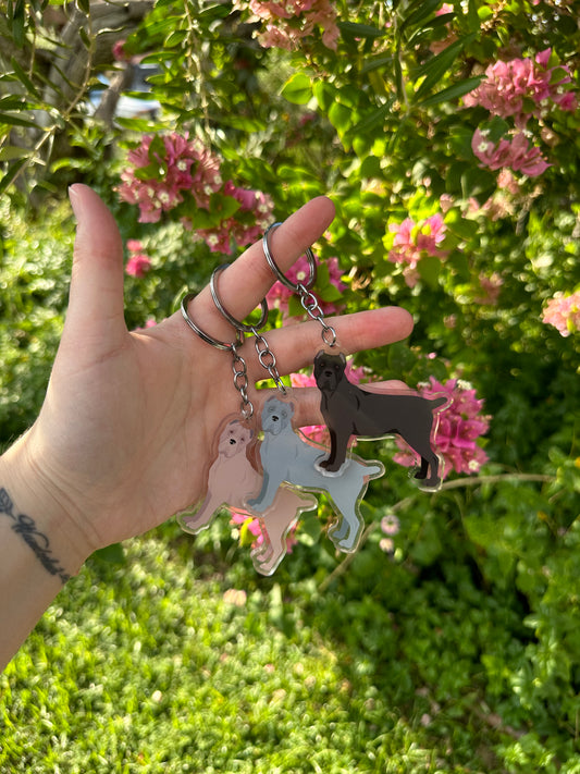 Cane Corso Dog 2.5in Acrylic Keychain