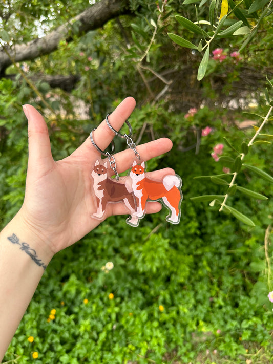 Shikoku Ken Dog 2.5in Acrylic Keychain