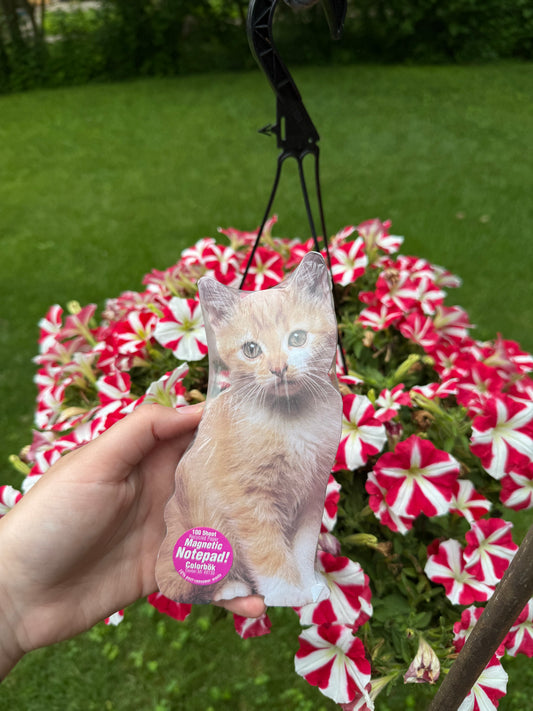Orange Cat Notepad