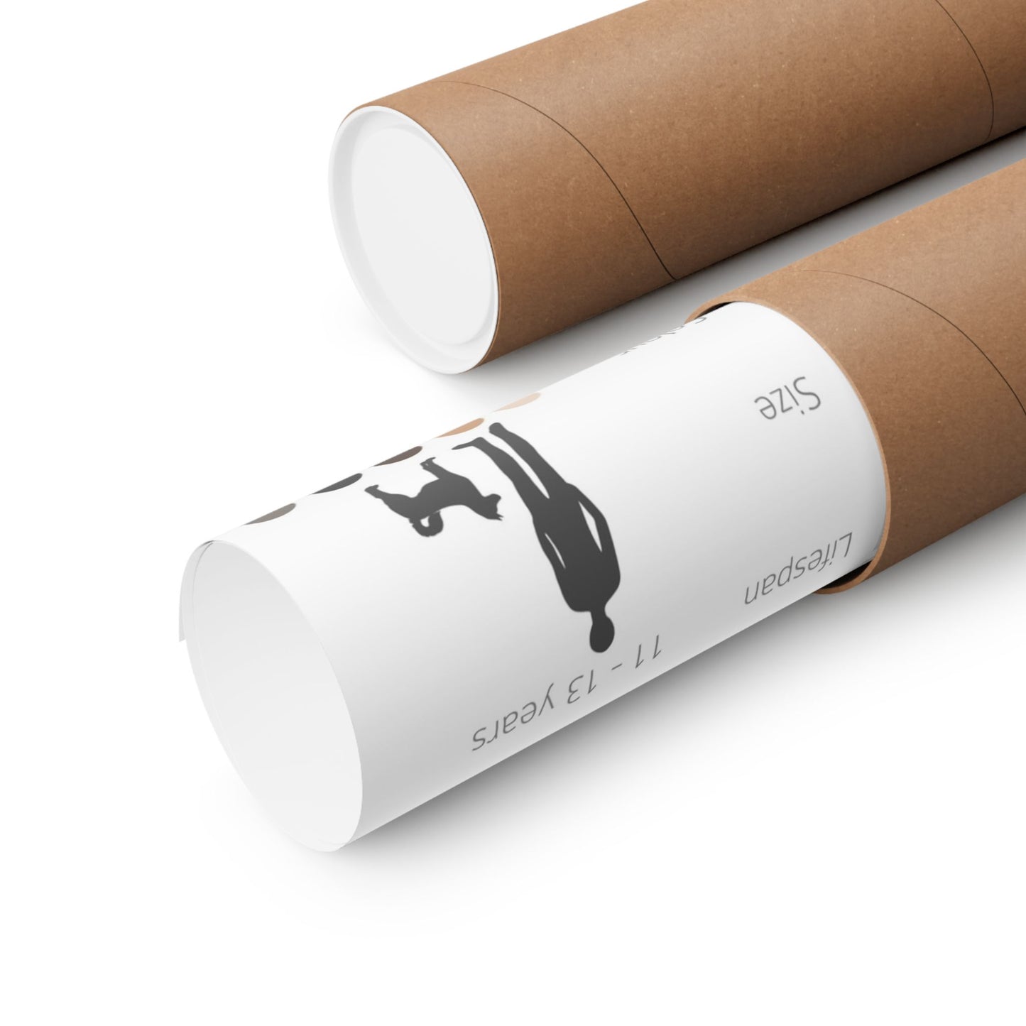 Kishu Ken Dog Matte Horizontal Posters 16X11