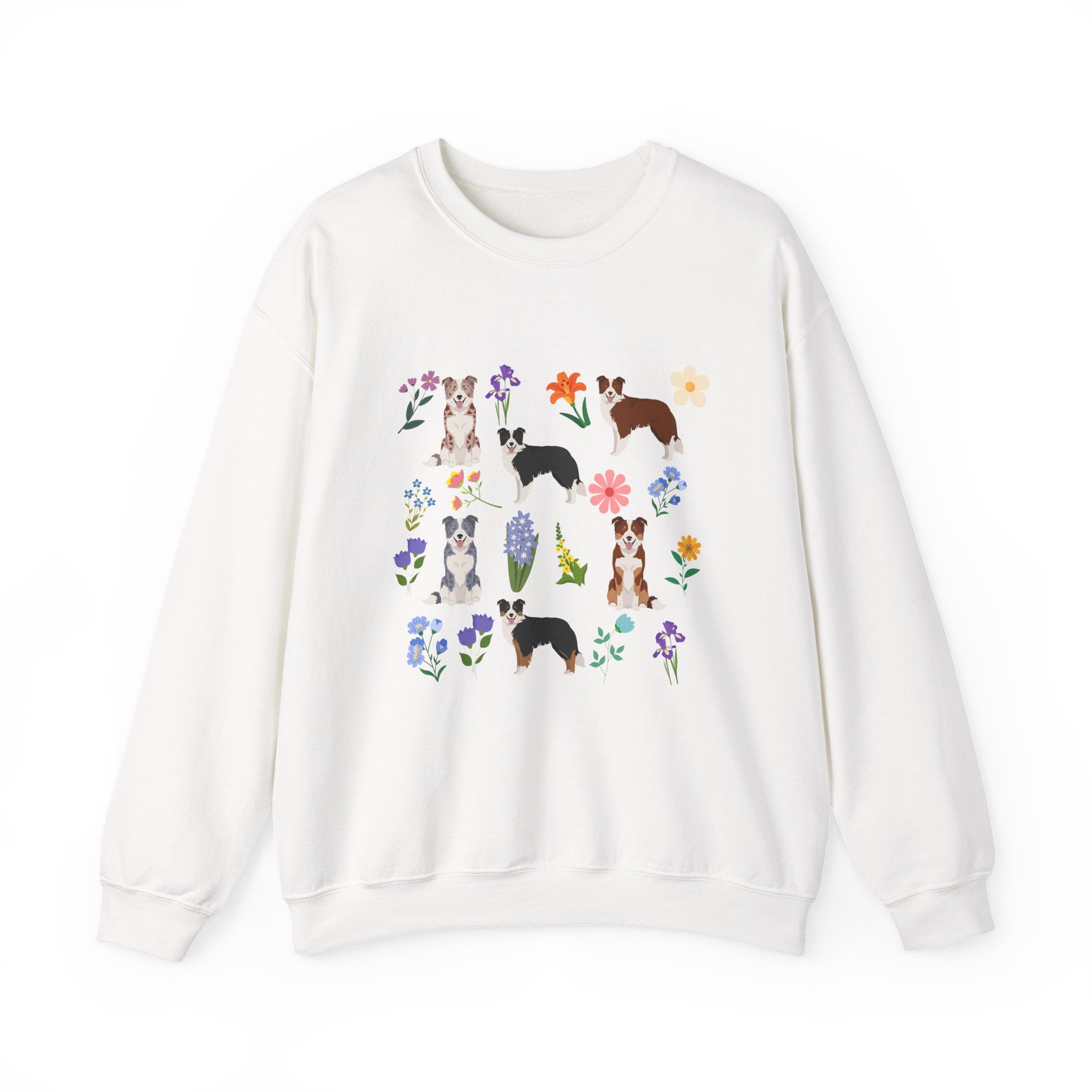 Border Collie – Prime Shiba Shop
