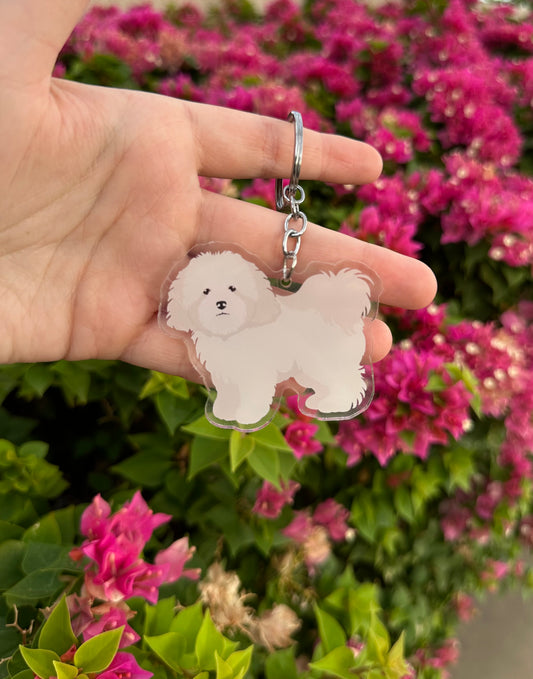 Coton De Tulear Dog 2.5in Acrylic Keychain