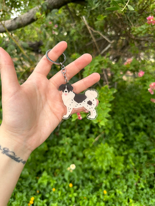 Wetterhoun Dog 2.5in Acrylic Keychain