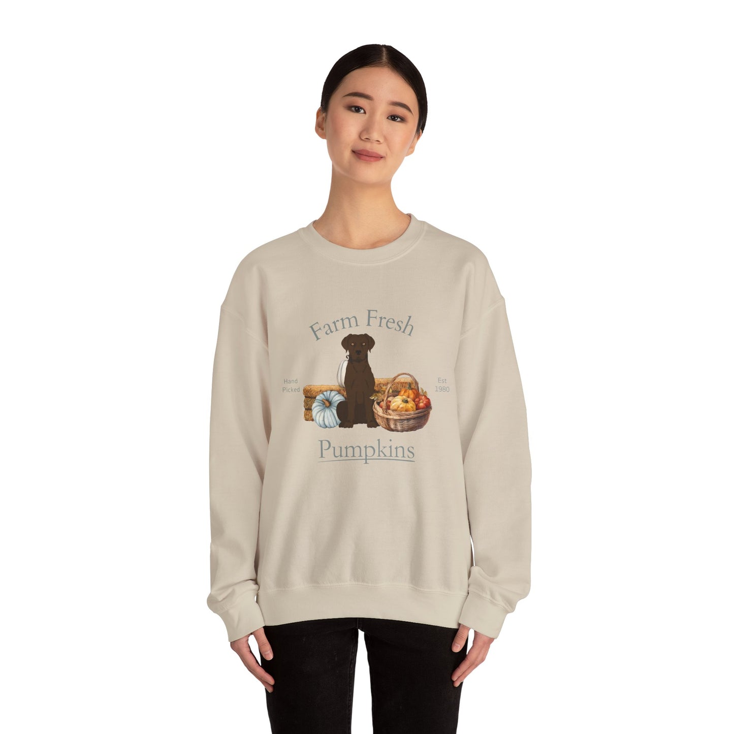 Chesapeake Bay Retriever Dog Fall Farm Fresh Unisex Heavy Blend Crewneck Sweatshirt