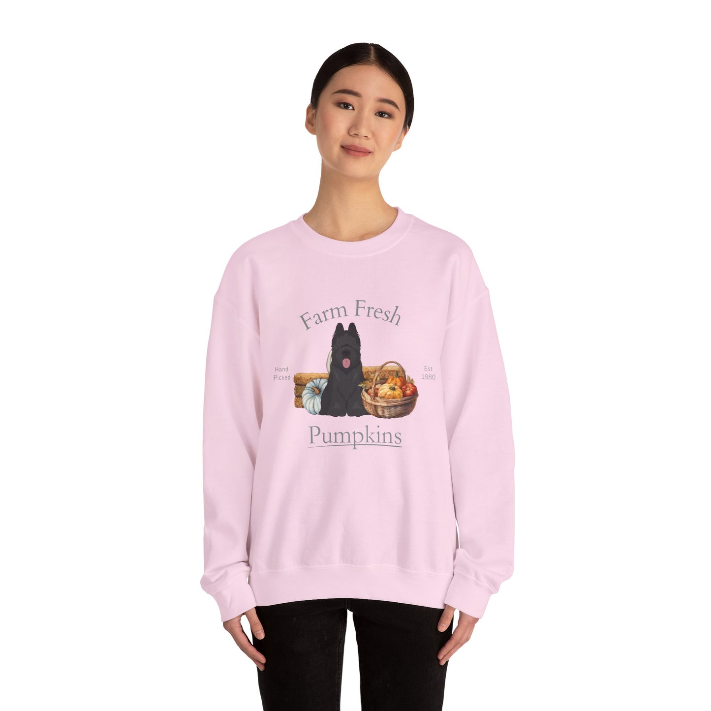 Briard Dog Fall Farm Fresh Unisex Heavy Blend Crewneck Sweatshirt
