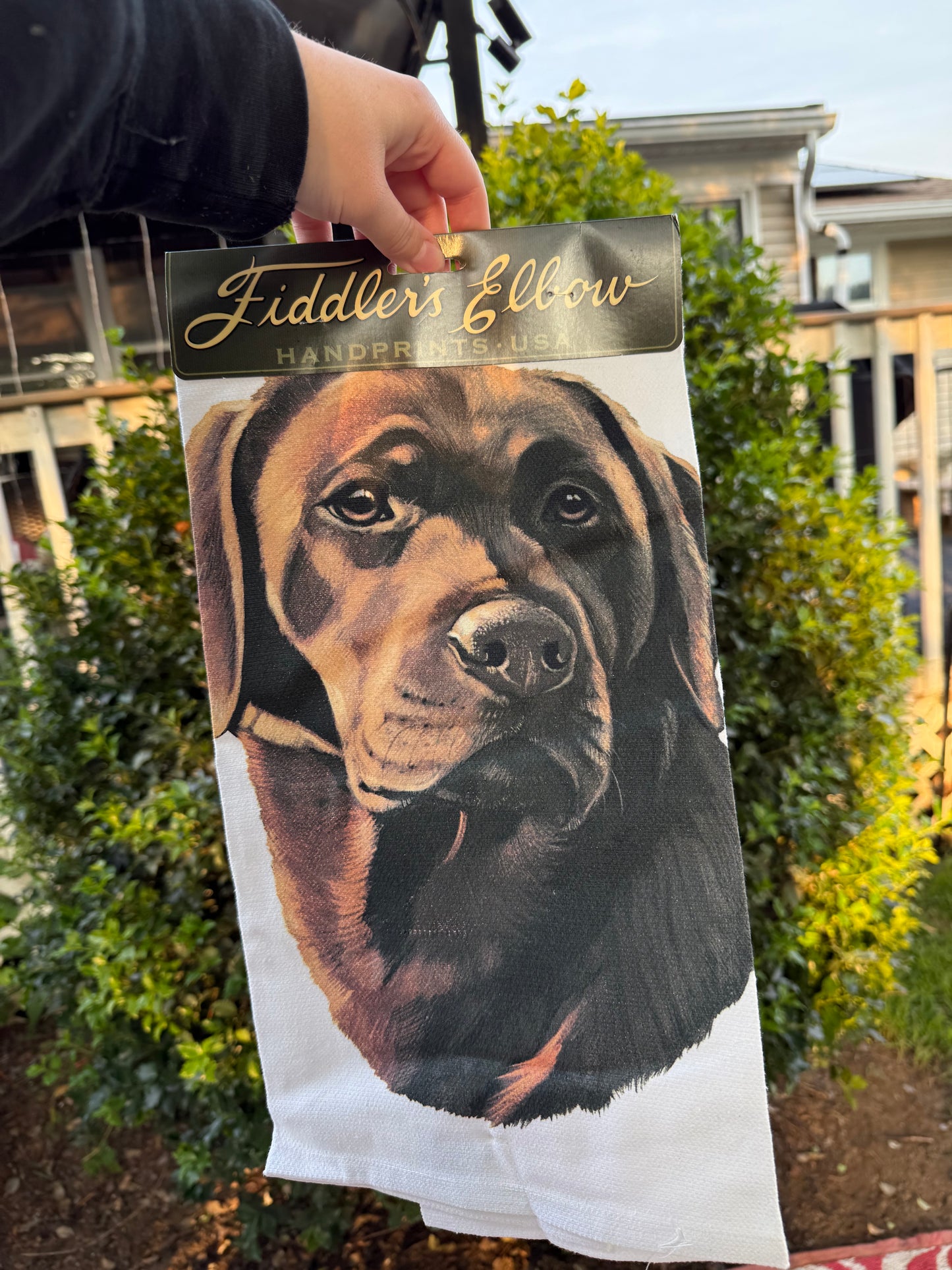 Labrador Retriever Dog Dish Towel