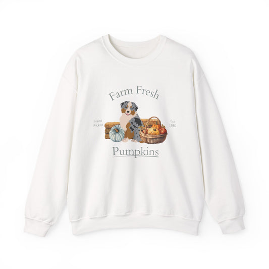 Miniature American Shepherd Dog Fall Farm Fresh Unisex Heavy Blend Crewneck Sweatshirt