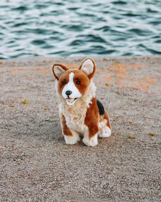 Bocchetta Corgi Dog Plush 23cm
