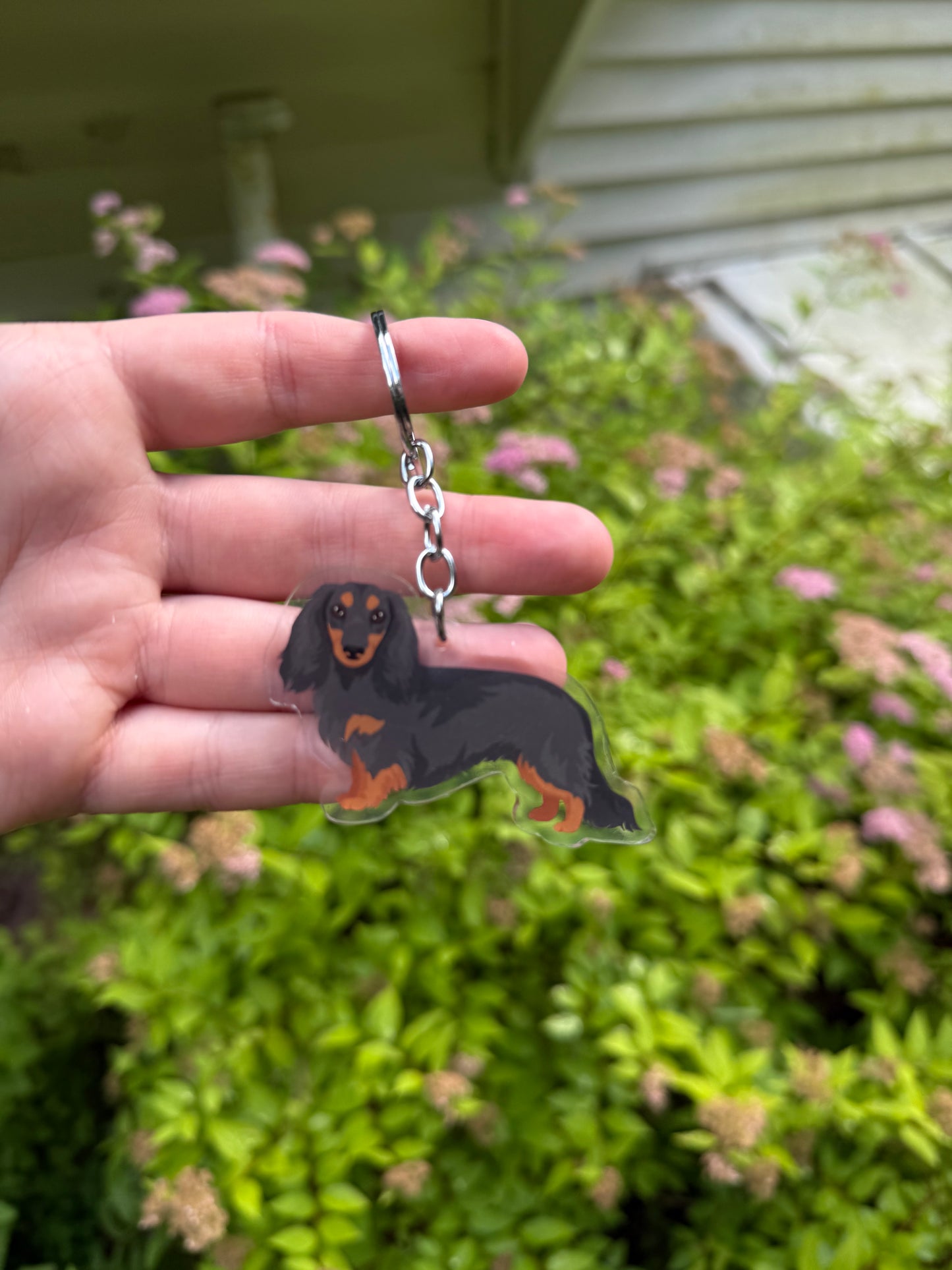 Dachshund Dog 2.5in Acrylic Keychain