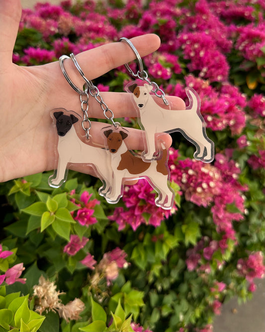 Smooth Fox Terrier Dog 2.5in Acrylic Keychain
