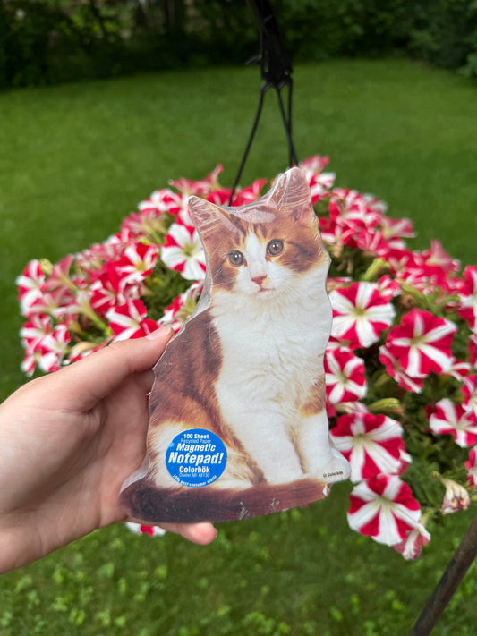 Cat Notepad