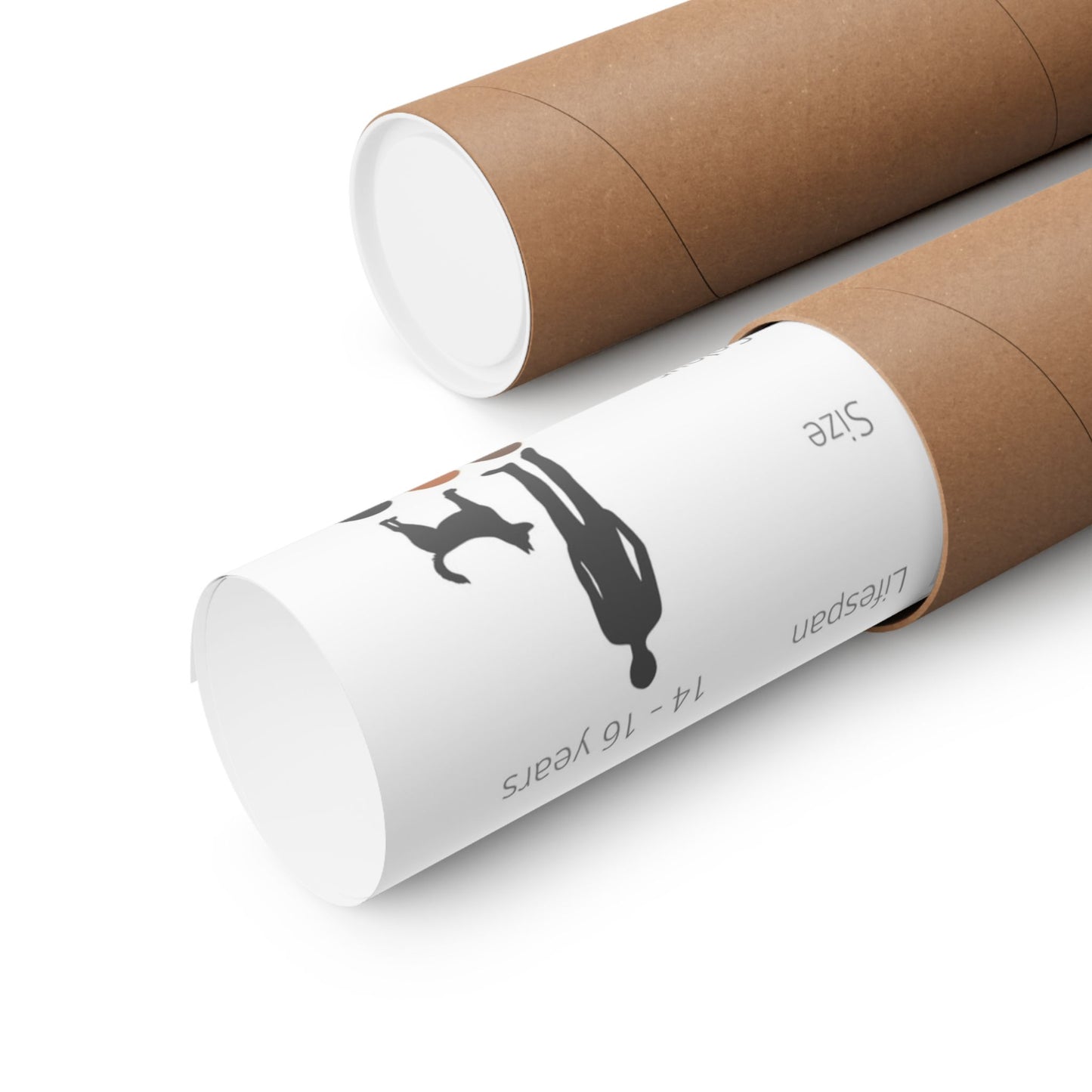 Kai Ken Dog Matte Horizontal Posters 16X11