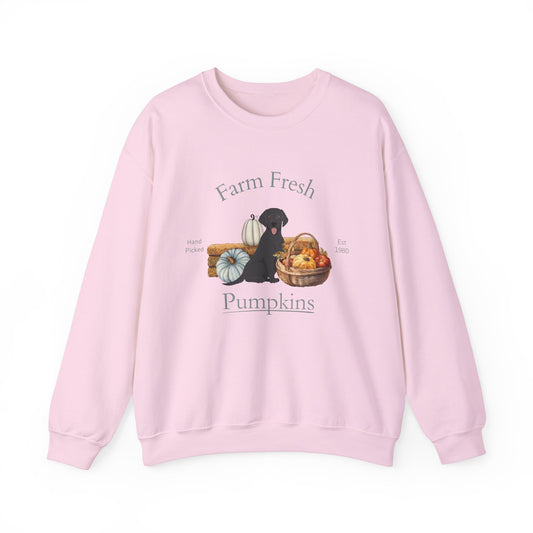 Black Labrador Retriever Dog Fall Halloween Unisex Heavy Blend Crewneck Sweatshirt