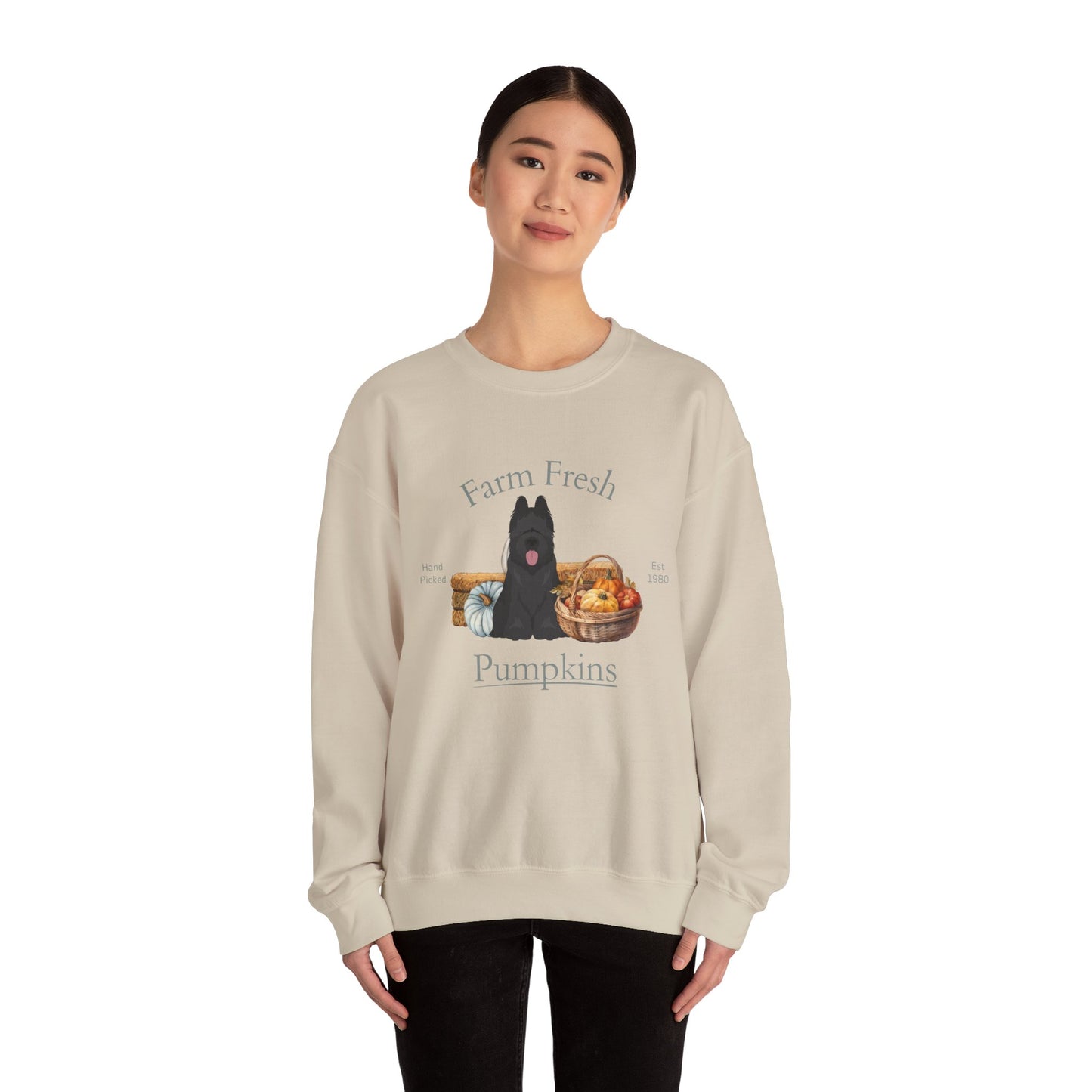 Briard Dog Fall Farm Fresh Unisex Heavy Blend Crewneck Sweatshirt