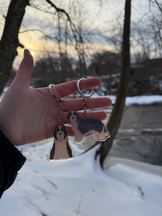 Bearded Collie Dog 2.5in Acrylic Keychain