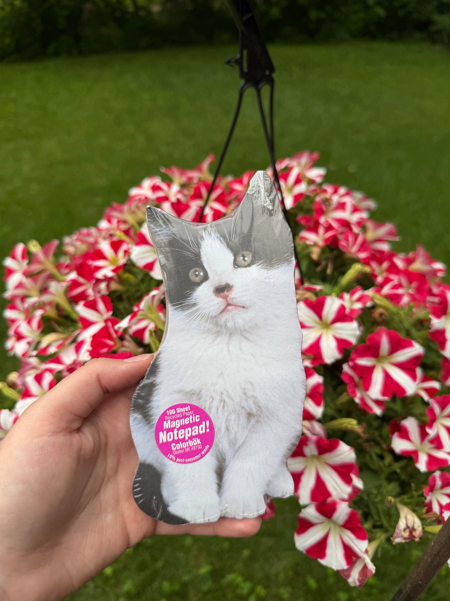 Cat Notepad