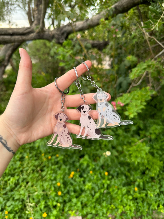Catahoula Leopard Dog 2.5in Acrylic Keychain
