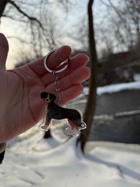 Entlebucher Dog 2.5in Acrylic Keychain
