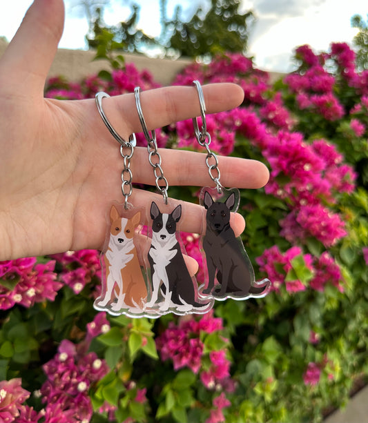 Canaan Dog 2.5in Acrylic Keychain