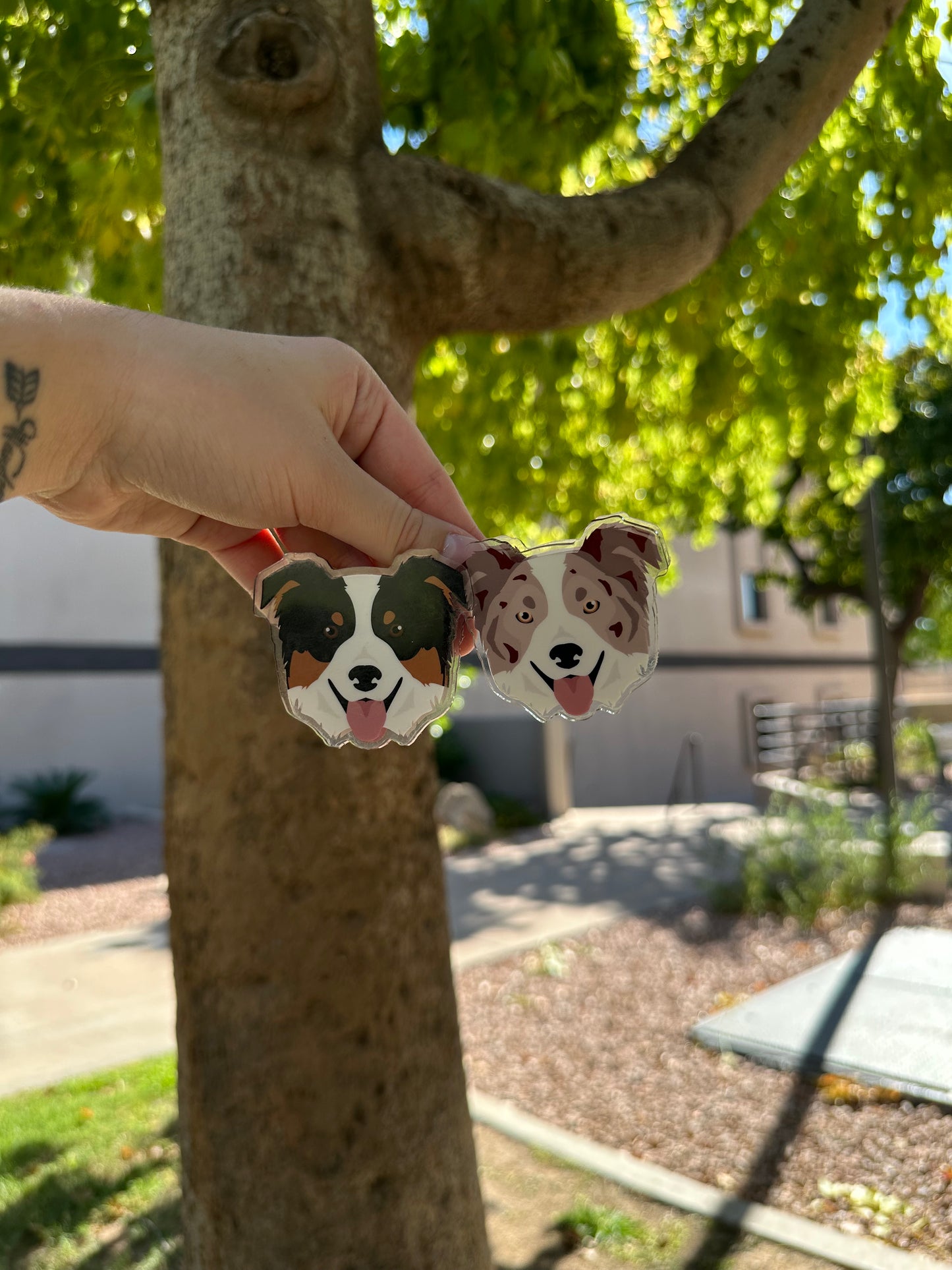 Border Collie Dog Clip 2.5in