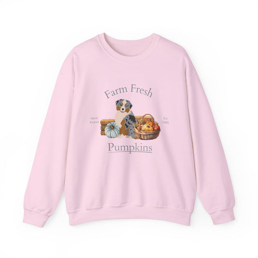 Mini Australian Shepherd Dog Fall Halloween Unisex Heavy Blend Crewneck Sweatshirt