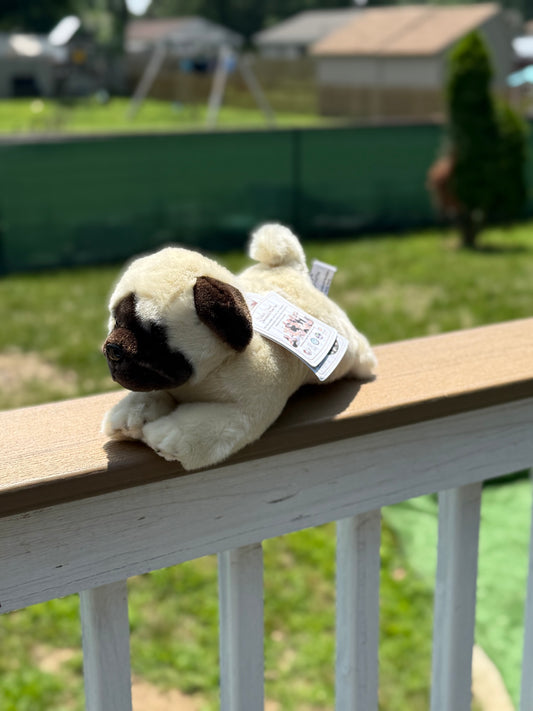 Bocchetta Pug Dog Plush 28cm