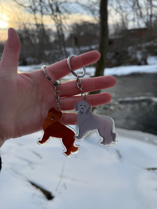 Pyrenean Shepherd Dog 2.5in Acrylic Keychain