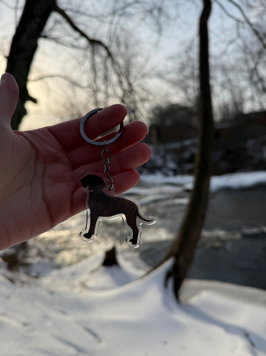 Plott Hound Dog 2.5in Acrylic Keychain