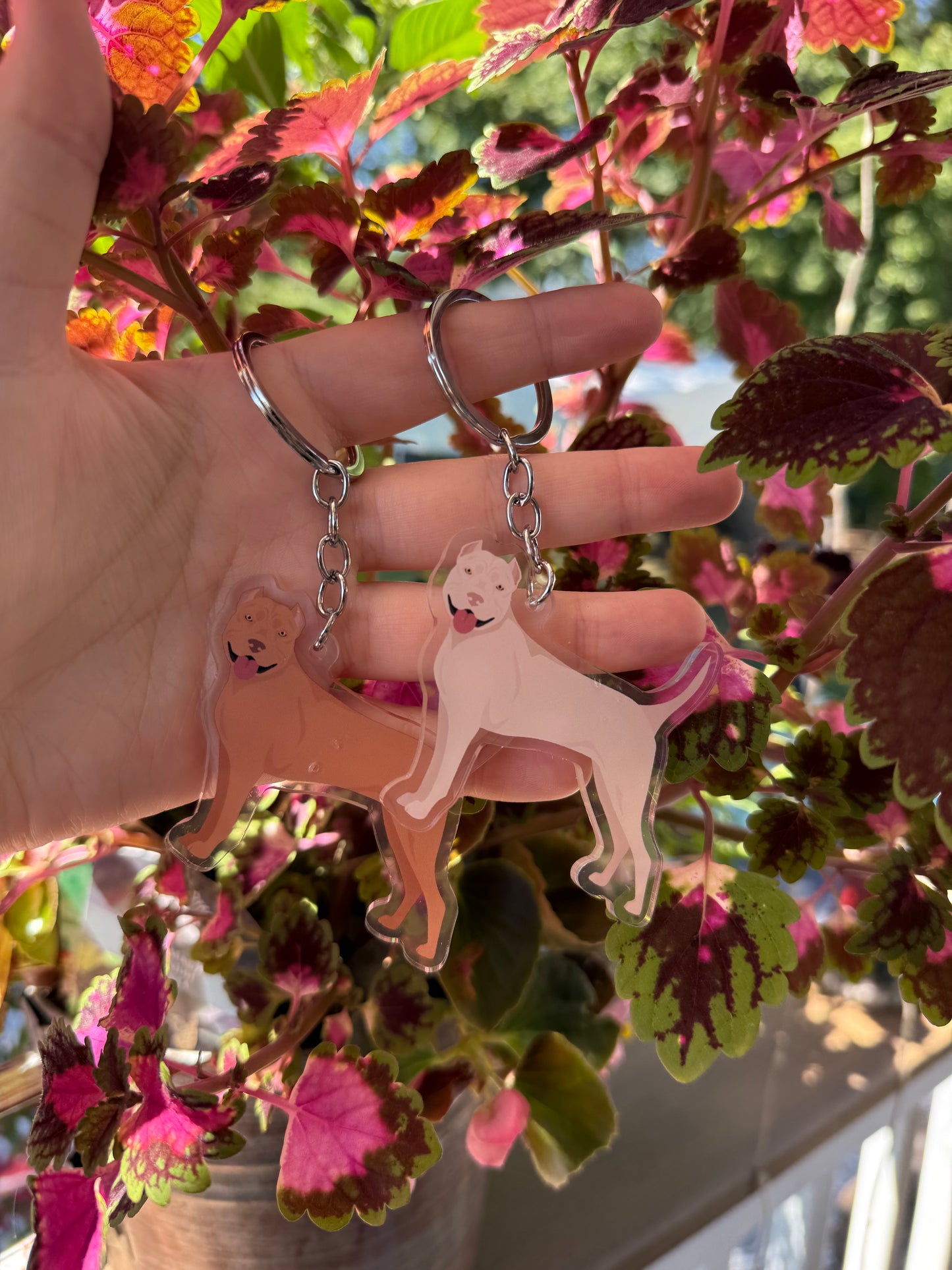 American Staffordshire Terrier Dog 2.5in Acrylic Keychain