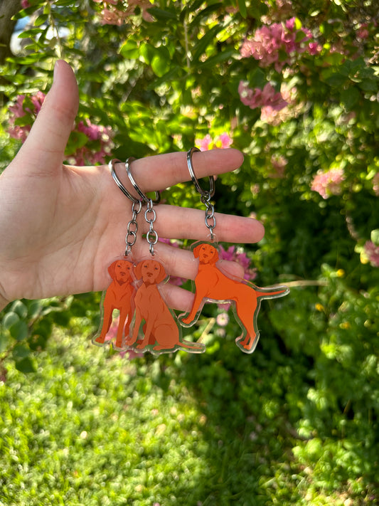 Vizsla Dog 2.5in Acrylic Keychain