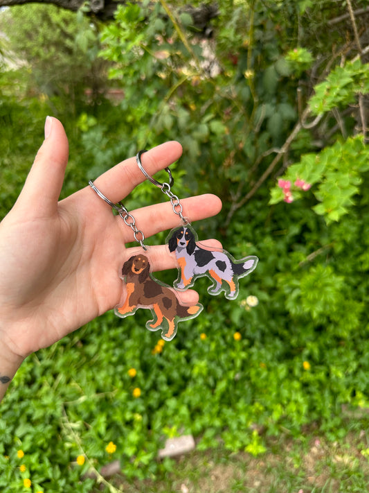 Picardy Spaniel Dog 2.5in Acrylic Keychain