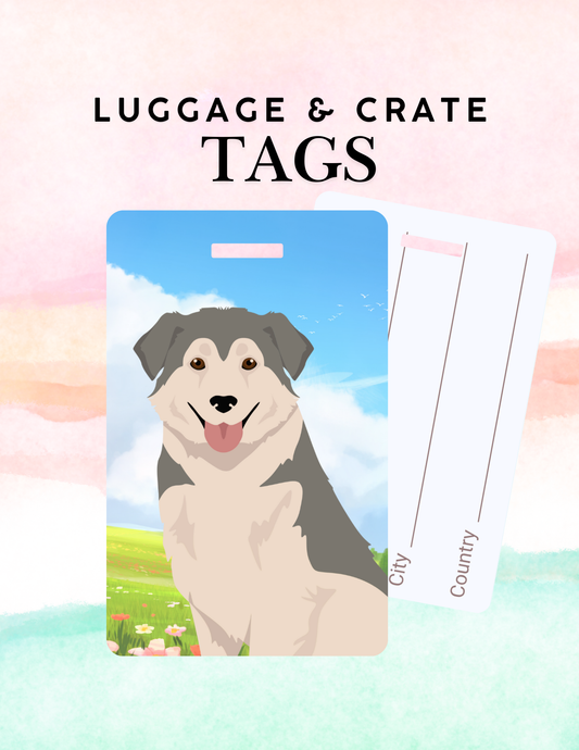 Aidi Dog Metal Luggage/ Crate Tag