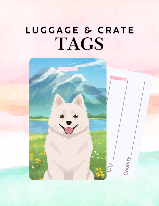 American Eskimo Dog Metal Luggage/ Crate Tag