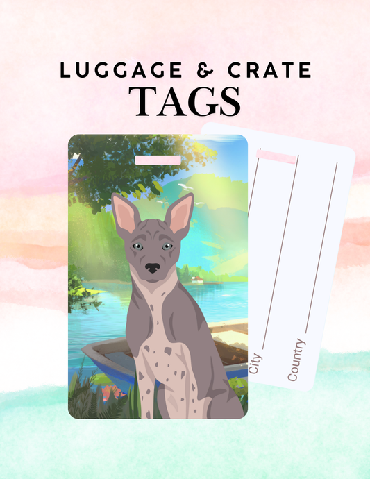 American Hairless Terrier Dog Metal Luggage/ Crate Tag