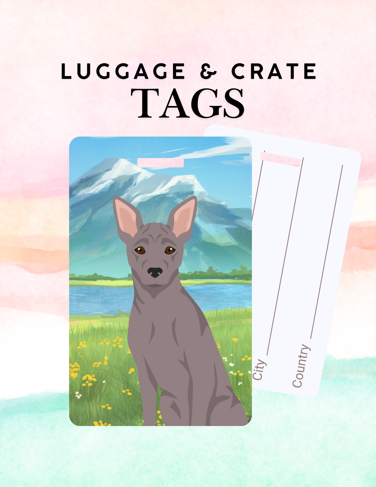 American Hairless Terrier Dog Metal Luggage/ Crate Tag