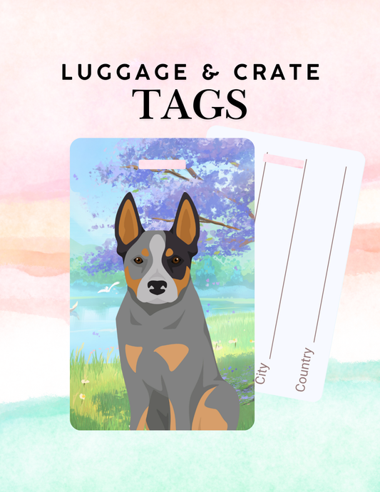 Australian Cattle Dog Dog Metal Luggage/ Crate Tag