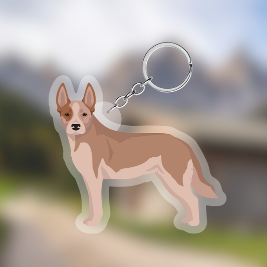 Australian Cattle dog Dog 2.5in Acrylic Keychain
