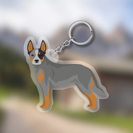 Australian Cattle dog Dog 2.5in Acrylic Keychain