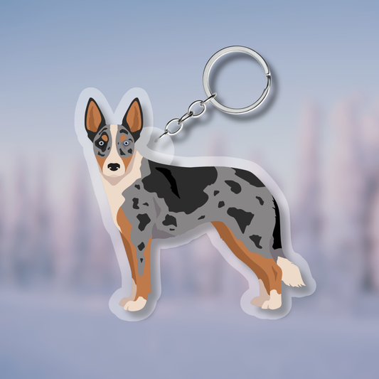 Australian Koolie Dog 2.5in Acrylic Keychain