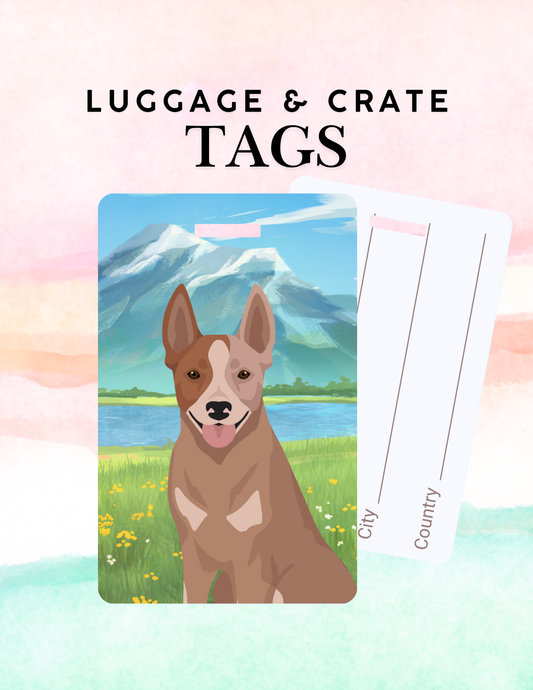 Australian Stumpy Tail Cattle Dog Dog Metal Luggage/ Crate Tag
