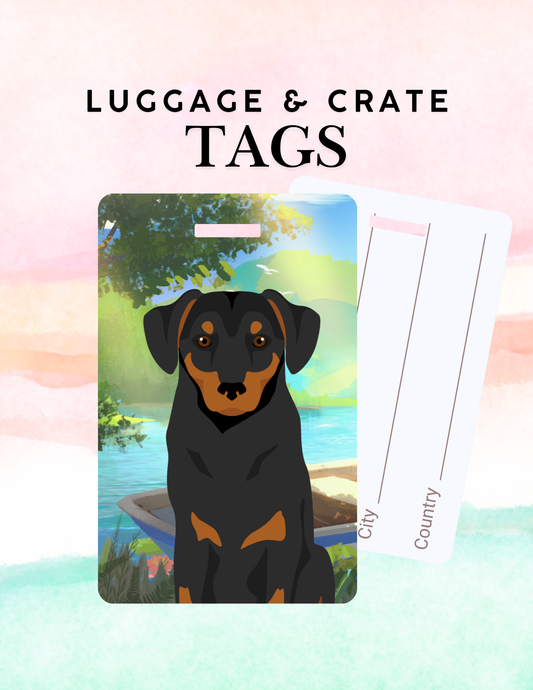 Austrian Pinscher Dog Metal Luggage/ Crate Tag