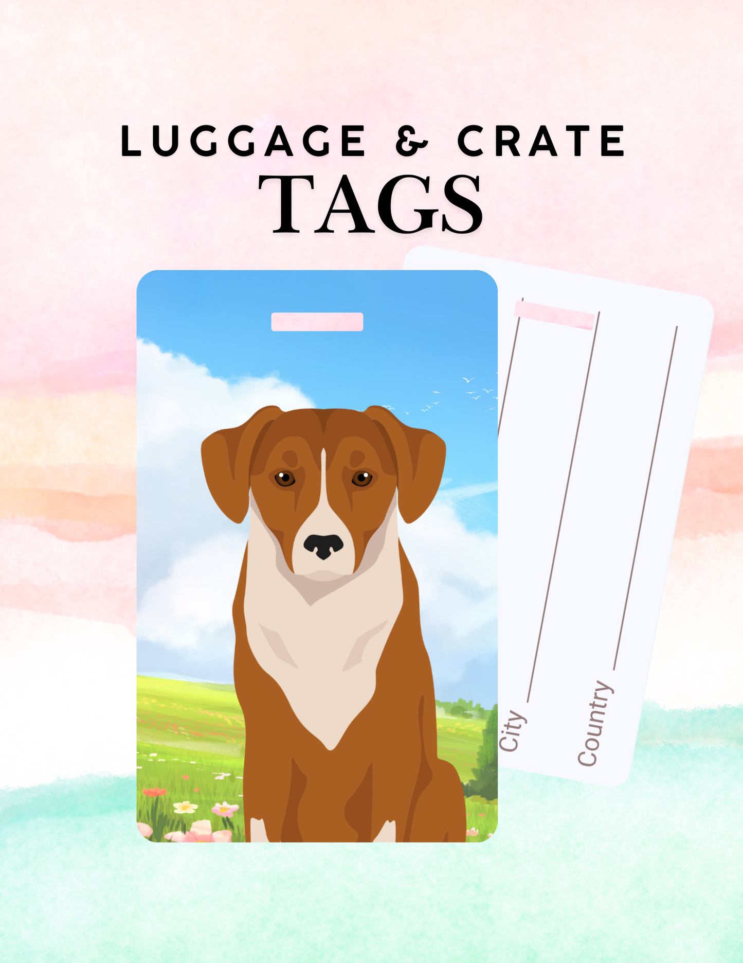 Austrian Pinscher Dog Metal Luggage/ Crate Tag